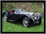 Jaguar, 1935, Zabytkowy, Ss100
